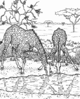 A coloring page of nature in africa